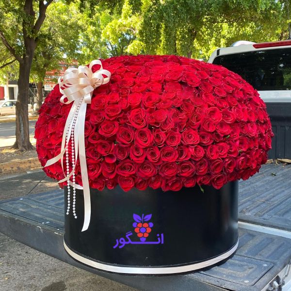 خرید گل رز قرمز هلندی 700 شاخه - باکس گل ولنتاین بزرگ لاکچری