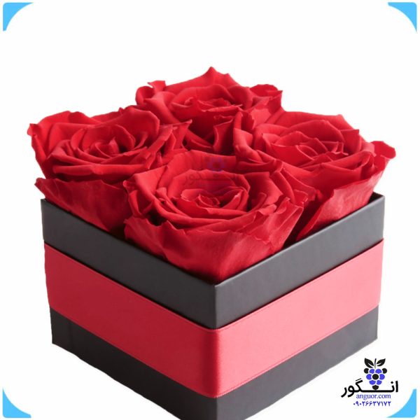 باکس گل رز قرمز 4 شاخه با قیمت مناسب - باکس گل رز کوچک - سفارش باکس گل - گلفروشی آنلاین
