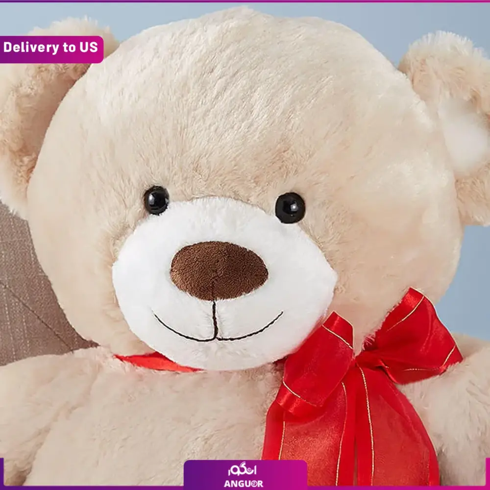 عروسک خرس (تحویل در امریکا) - Image 2