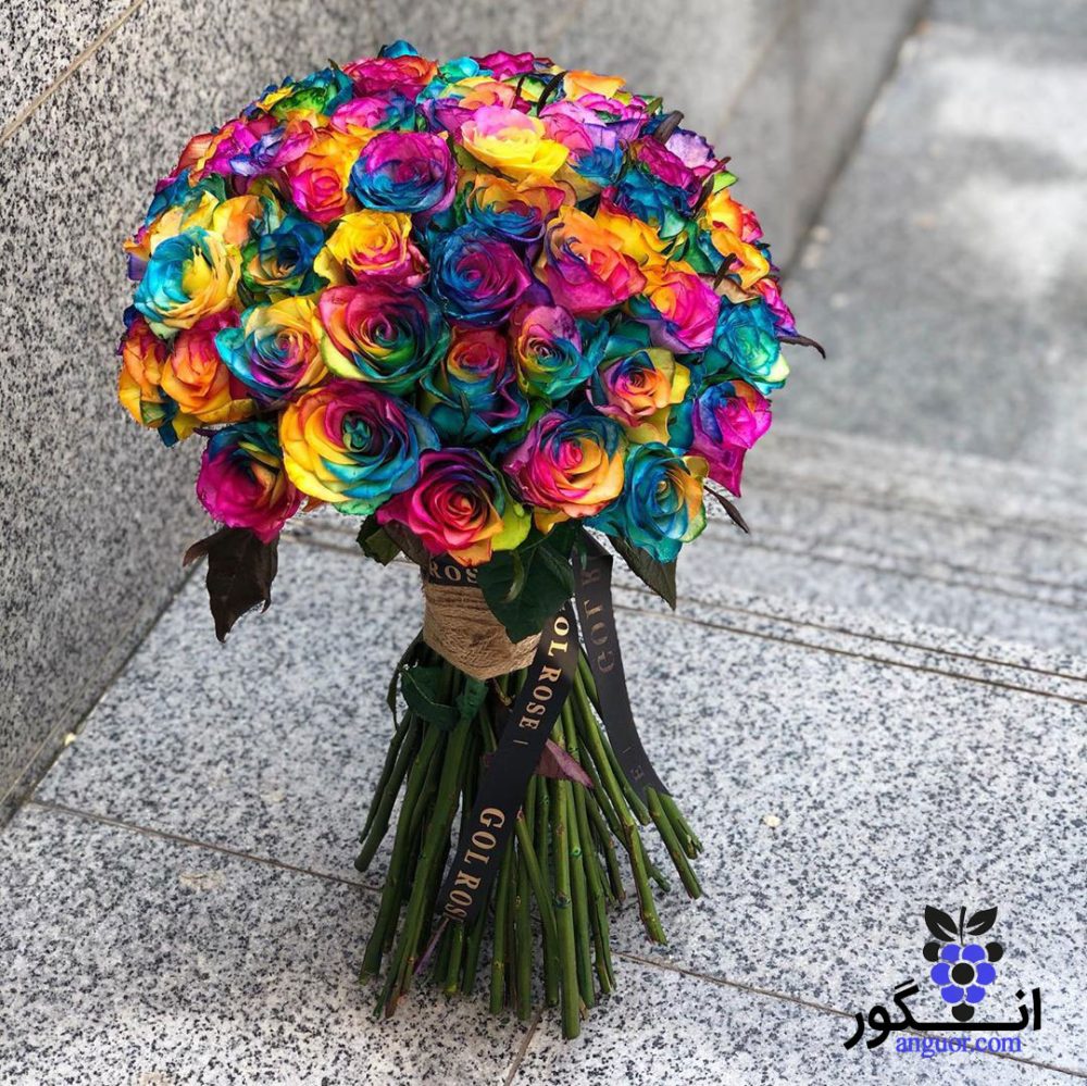دسته گل رز هفت رنگ 60 شاخه ای (هلندی)