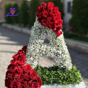 باکس گل حرف a با طرح زیبای گلهای عروس و رز