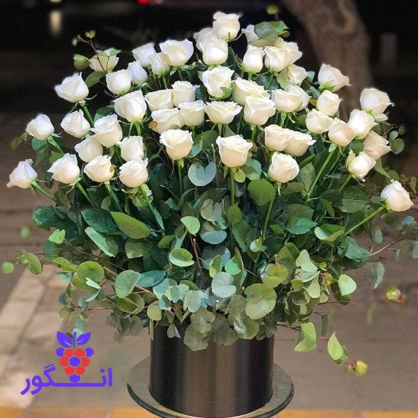 باکس گل رز سفید 50 شاخه رز هلندی - سفارش باکس گل رز - گلفروشی آنلاین