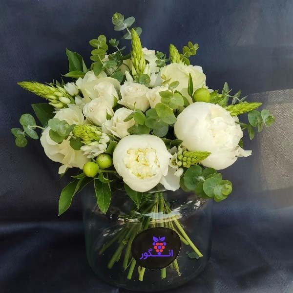 گل پیونی- شاخه گل پبونی- سفارش آنلاین گل