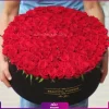 خرید باکس گل رز جانان (200 شاخه رز قرمز)، باکس گل رز بزرگ