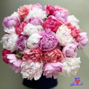 باکس گل پیونی- باکس گل صد تومانی- خرید آنلاین گل