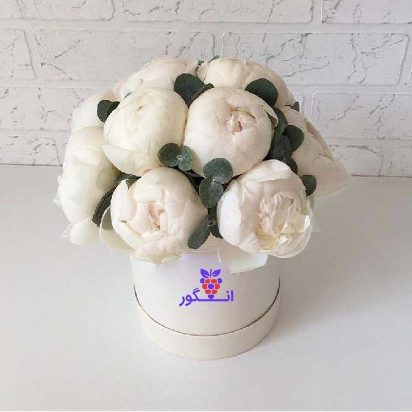 باکس گل پیونی- پیونی سفید- خرید آنلاین گل