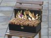 سفارش باکس گل رز طلایی
