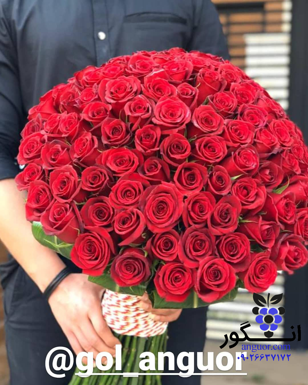 خرید دسته گل 150 شاخه رز قرمز در تهران