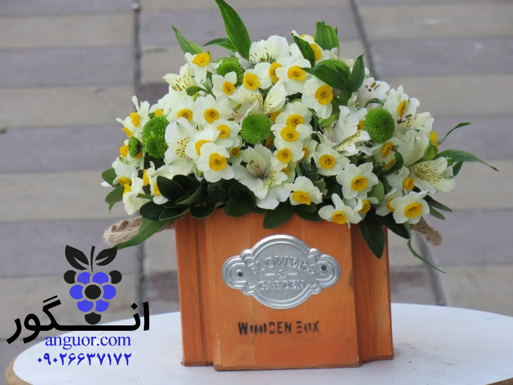 سفارش باکس گل کوچک نرگس در تهران