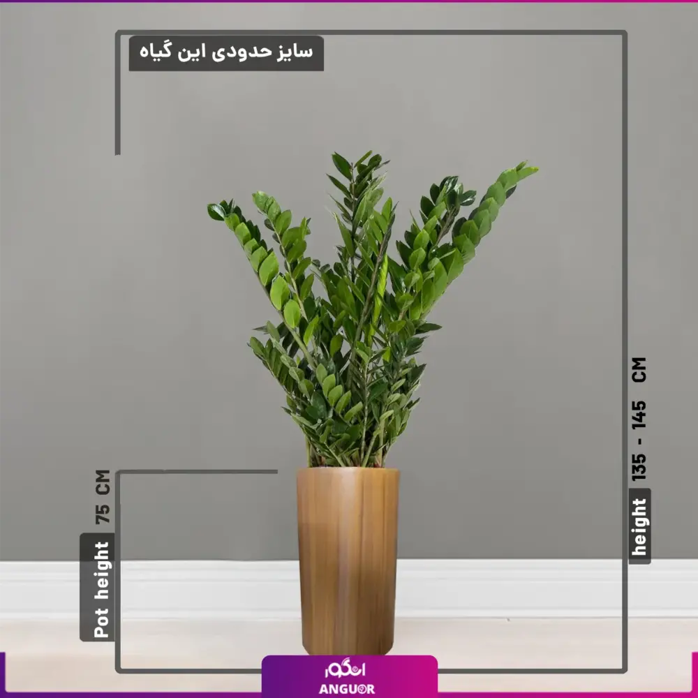 گلدان فایبر گلاس طرح چوب همراه با زاموفیلیا - Image 2