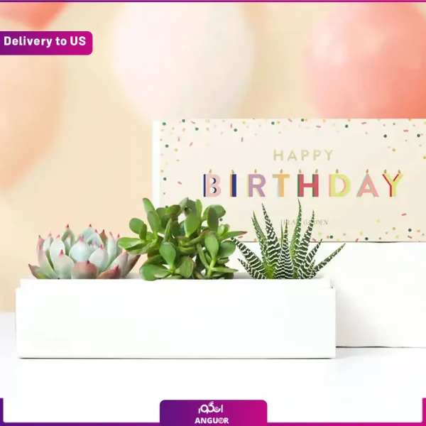 خرید گیاه گلدانی Calming Peace Lily Plant (ارسال گل به امریکا)