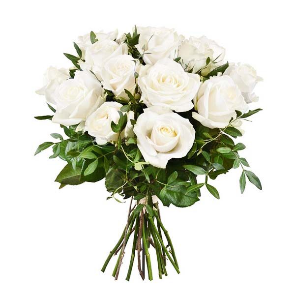 دسته گل رز سفید12شاخه (ارسال گل به هلند)