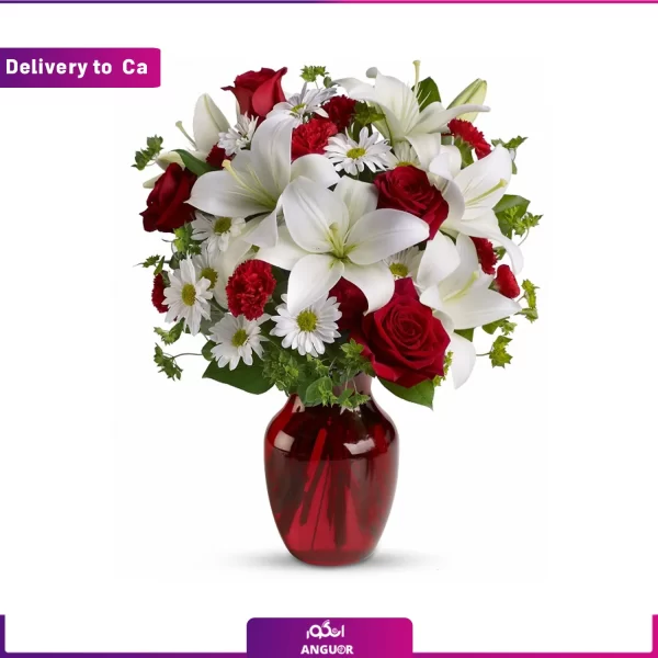 خرید و ارسال گل به کانادا-سفارش آنلاین گل-ارسال دسته گل به کانادا-ارسال دسته گل به خارج-سفارش و ارسال هدیه به خارج-انگور