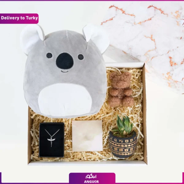 پک هدیه (گردنبند،ساکولنت، عروسک) و ارسال به ترکیه