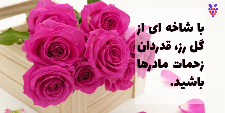 رزهای زیبا - بهترین گل برای روز مادر