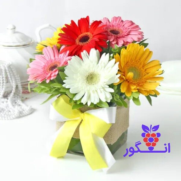 باکس گل کوچک ژربرا رنگی با قیمت مناسب - خرید آنلاین گل - انگور