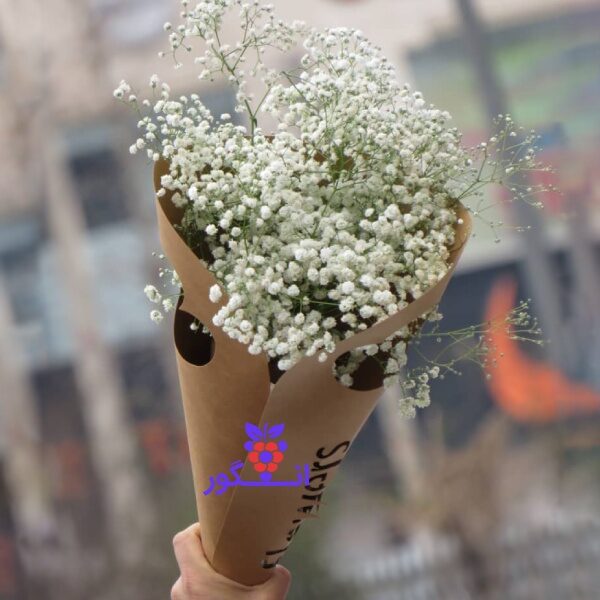 دسته گل وعده دیدار با گل های زیبای عروس ( ژیپسوفیلا) - خرید گل ژیپسوفیلا - انگور