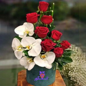 باکس گل تولد- باکس گل خواستگاری- خرید آنلاین گل