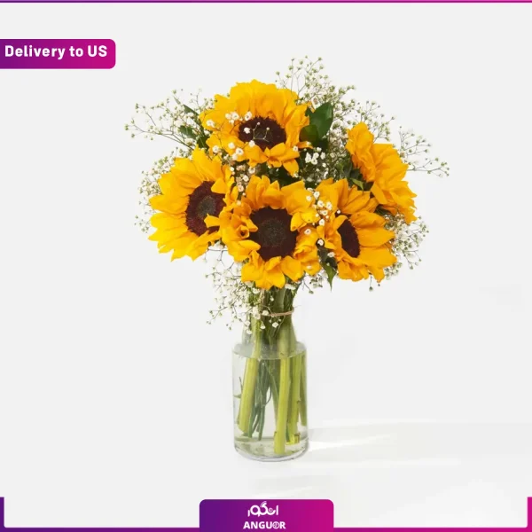 ارسال گل به امریکا،ارسال هدیه به خارج از کشور،ارسال هدیه به امریکا،گل انگور،مرکز بین المللی گل وگیاه