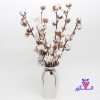 خرید گلدان گل پنبه | عکس + قیمت