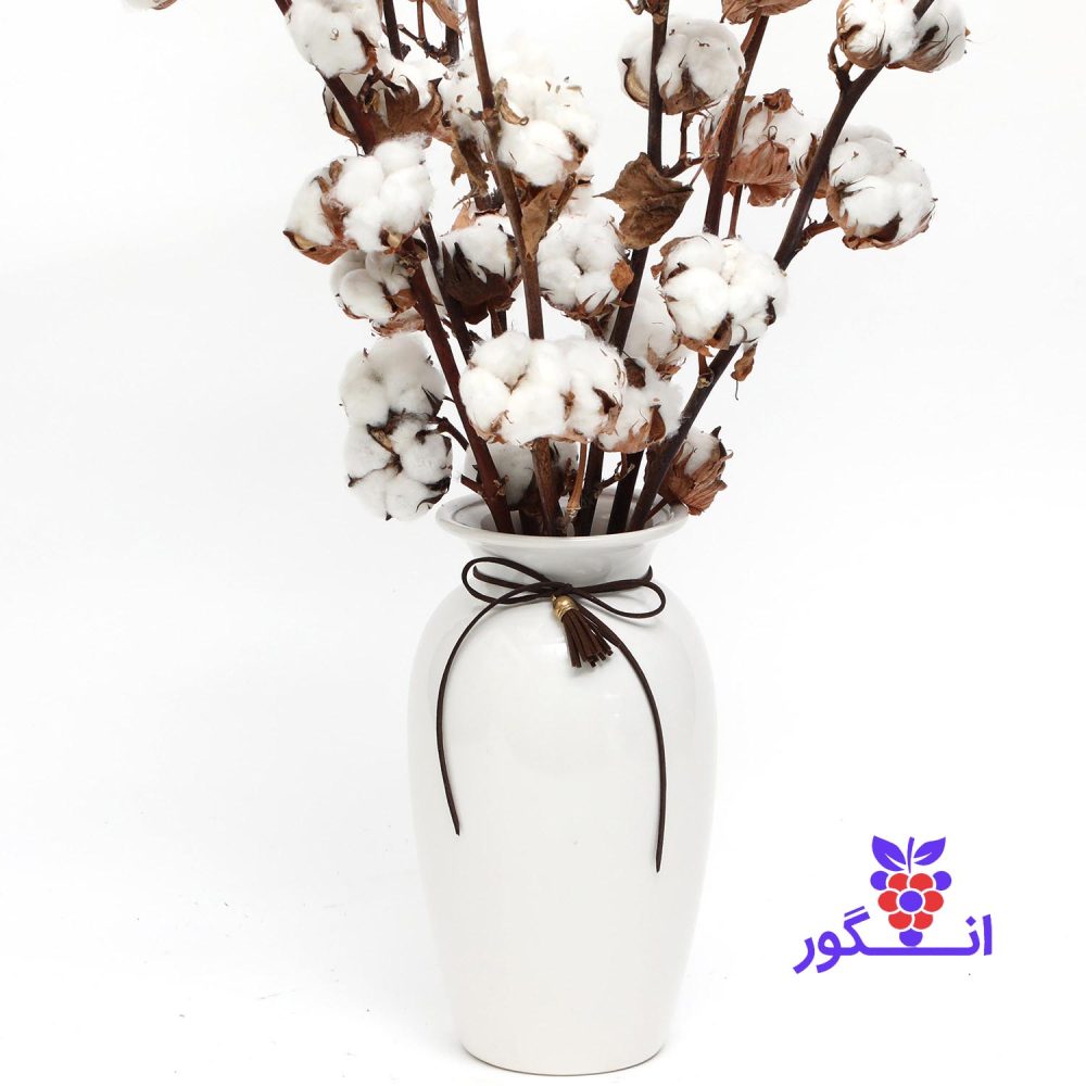 گلدان گل پنبه - Image 2