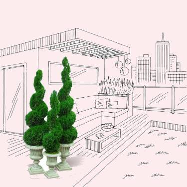 roof garden باغبانی آنلاین - انگور