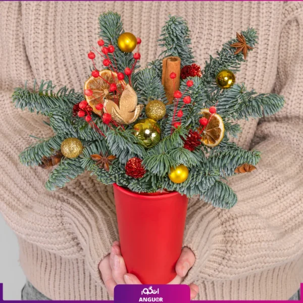 باکس گل کریسمس- انگور- خرید گل کریسمس