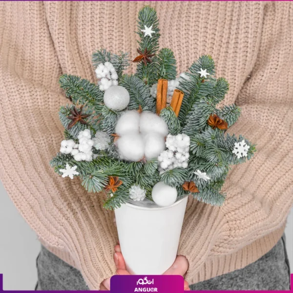 باکس گل کریسمس- انگور-هدیه کریسمس
