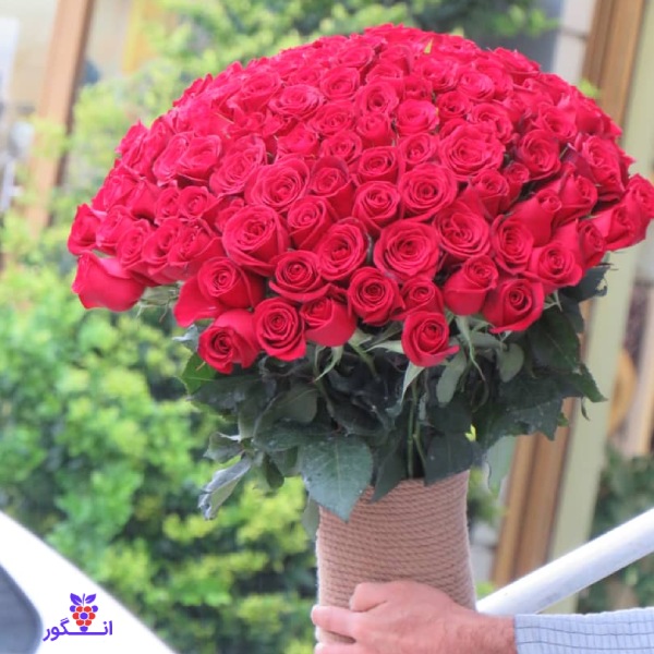 عکس دسته گل رز قرمز زیبا برای پروفایل