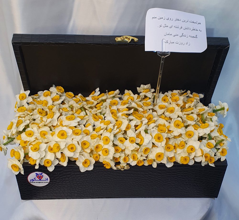 باکس گل نرگس 80 شاخه مستطیل - Image 3