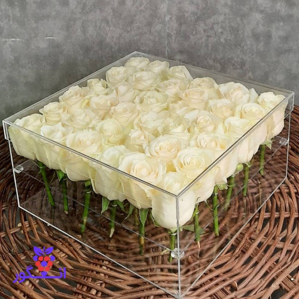 باکس شیشه ای گل رز باکس شیشه ای گل رز سفید - خرید آنلاین گلسفید - خرید آنلاین گل