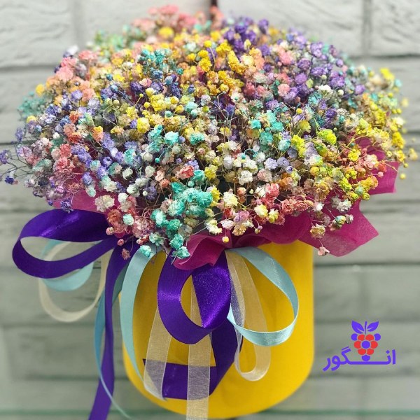 باکس ژیپس (گل عروس )شکوفه های رنگی - خرید باکس گل- گل فروشی آنلاین