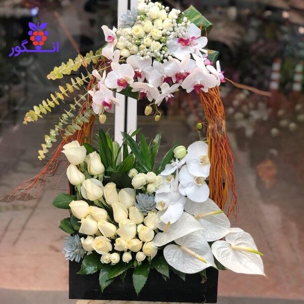 خرید باکس گل رز و ارکیده مناسبتی - خواستگاری - خرید گل آنلاین+قیمت و عکس