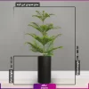 خرید + قیمیت + عکس گلدان استوانه ای فایبرگلاس 60 - 65 سانتی رنگ مشکی با گل آپارتمانی کاج مطبق سایز 170 - 190 سانتی