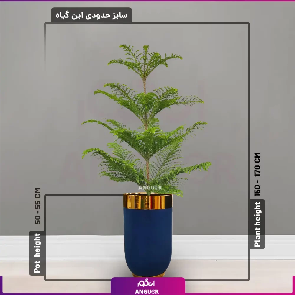 خرید + قیمت + عکس گلدان فلزی روکش مخلمی آبی طلایی سایز 50 - 55 سانتی با کاج مطبق متوسط تک شاخه
