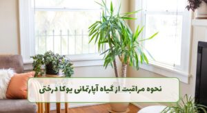 گل فروشی آنلاین | سفارش آنلاین گل - انگور