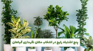 گل فروشی آنلاین | سفارش آنلاین گل - انگور