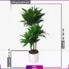 دراسنا کامپکت سه شاخه ای بزرگ - Image 2