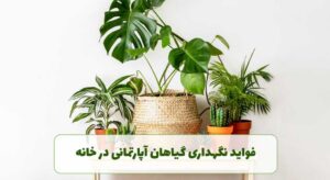 گل فروشی آنلاین | سفارش آنلاین گل - انگور