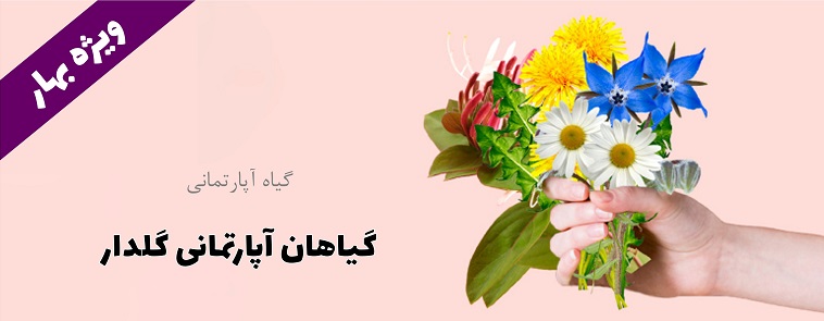 خرید گل های بهاری و گیاهان آپارتمانی گلدار برای نوروز