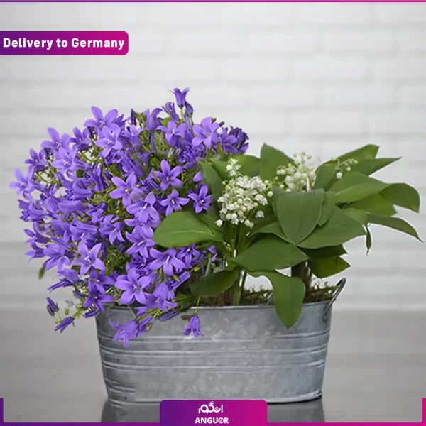 ارسال باکس گل به آلمان - ارسال هدیه به آلمان- ارسال باکس گل به خارج از کشور-انگور