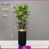 گلدان هدیه VIP فایبر گلاس با فیکوس آفریقایی لیراتا(3 شاخه) - Image 5