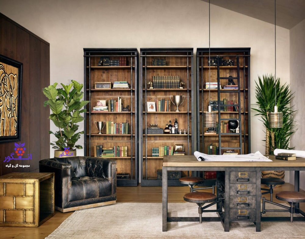 گلدان هدیه VIP فایبر گلاس رنگ مشکی با فیکوس آفریقایی لیراتا برای کتابخانه