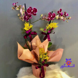 گلدان ارکیده دیزاین شده هدیه ای زیبا و جذاب
