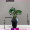 گلدان هدیه لوکس برگ انجیری با طرح خمره ای لبه نقره ای