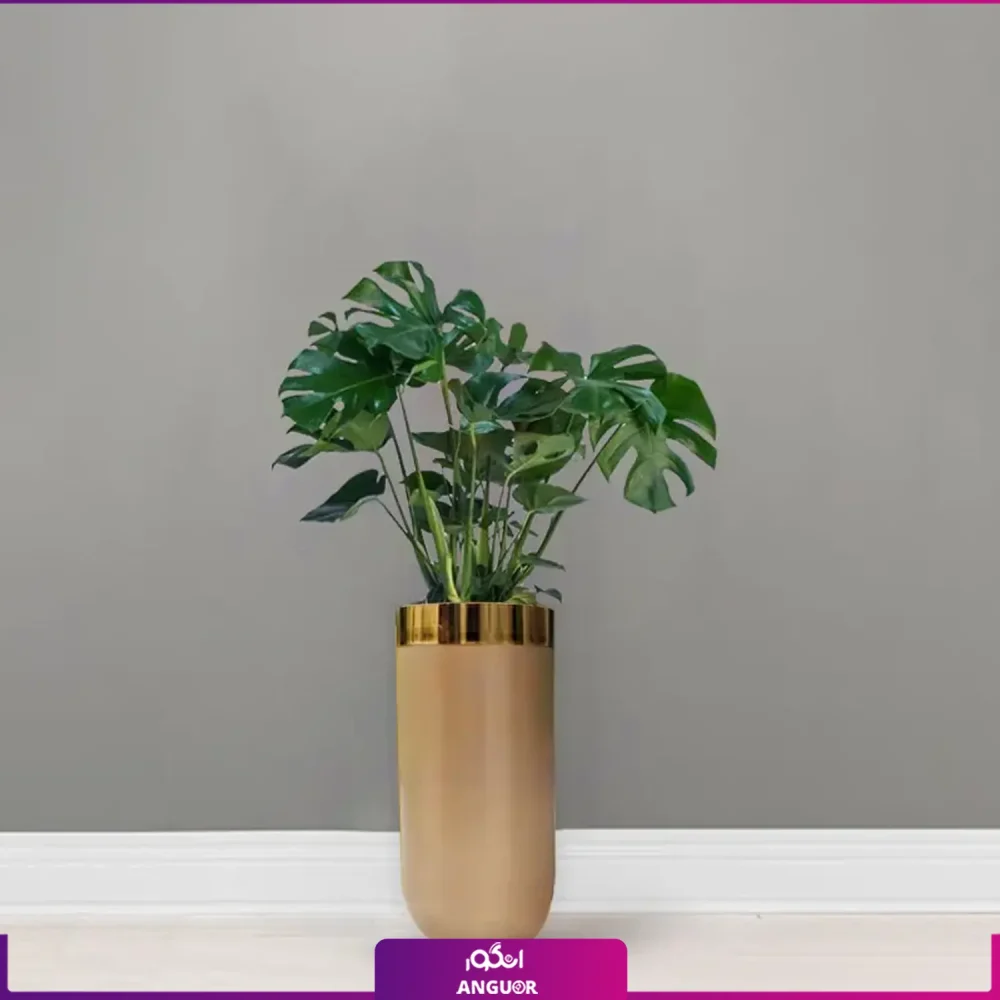 گلدان هدیه لوکس برگ انجیری | فایبر گلاس طرح سارین - Image 4