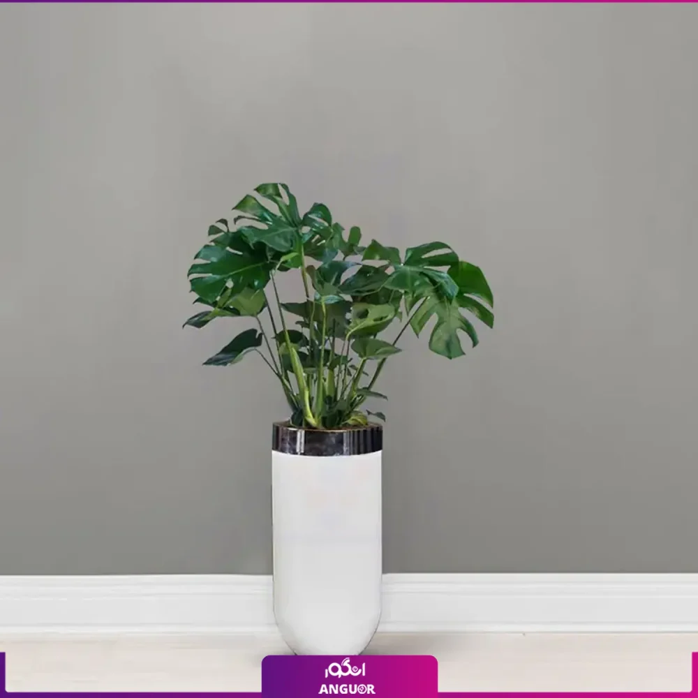 گلدان هدیه لوکس برگ انجیری | فایبر گلاس طرح سارین - Image 3