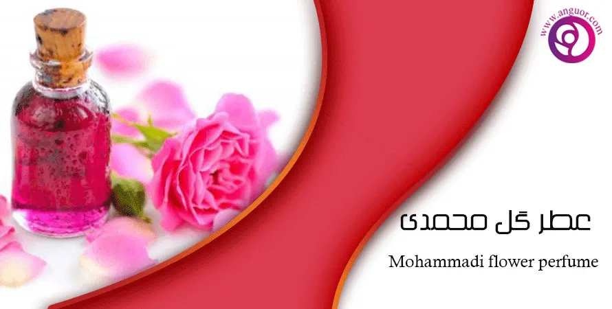 عطر گل محمدی