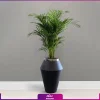 گلدان هدیه لوکس نخل اریکا با طرح خمره ای