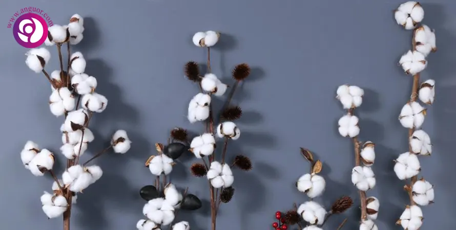 گل پنبه - cotton flower